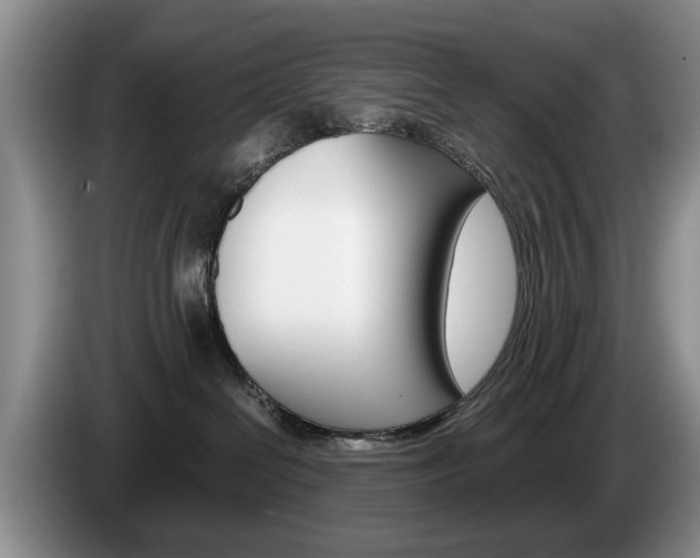 X0000087560286200704270931