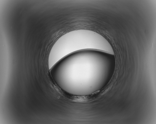 X0000087560288200704270931