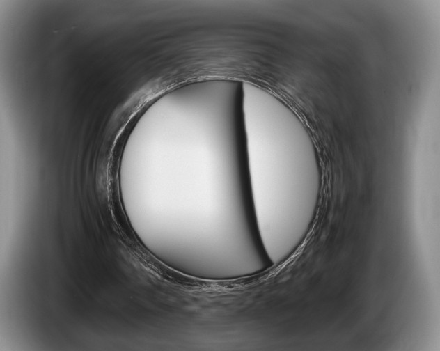 X0000087560290200704270931