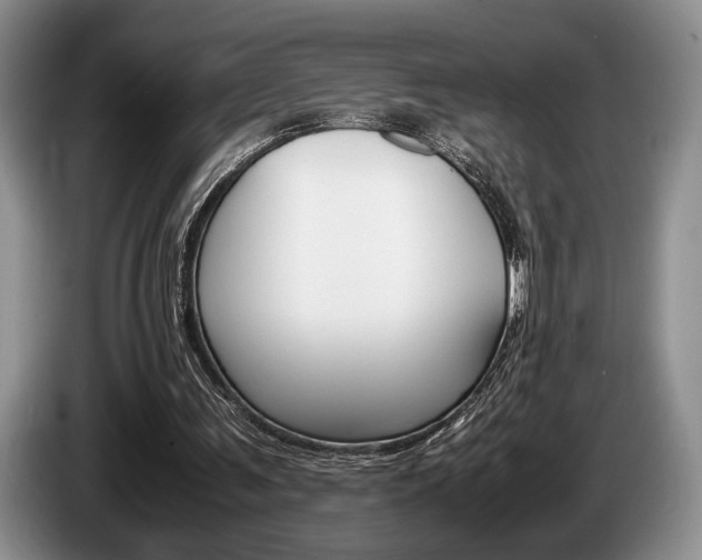 X0000087560291200704270931