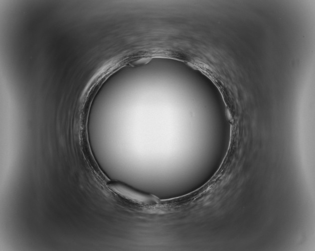 X0000087560293200704270931