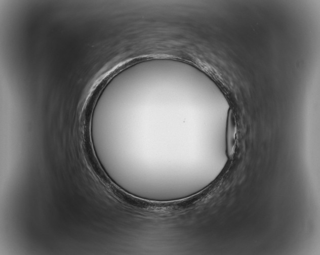 X0000087560295200704270931