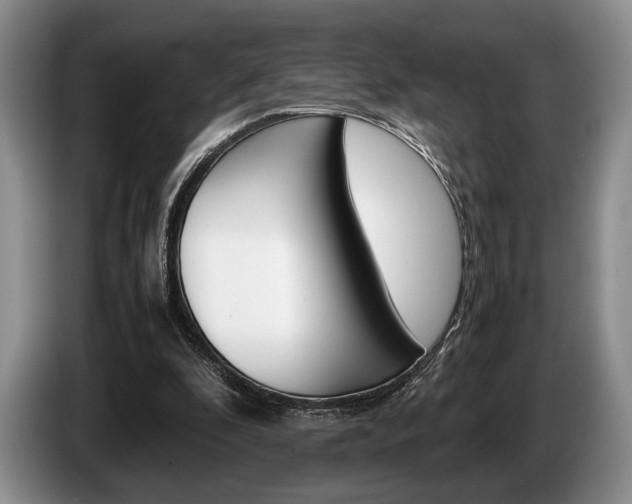 X0000087560296200704270931