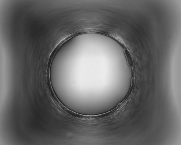 X0000087560297200704270931