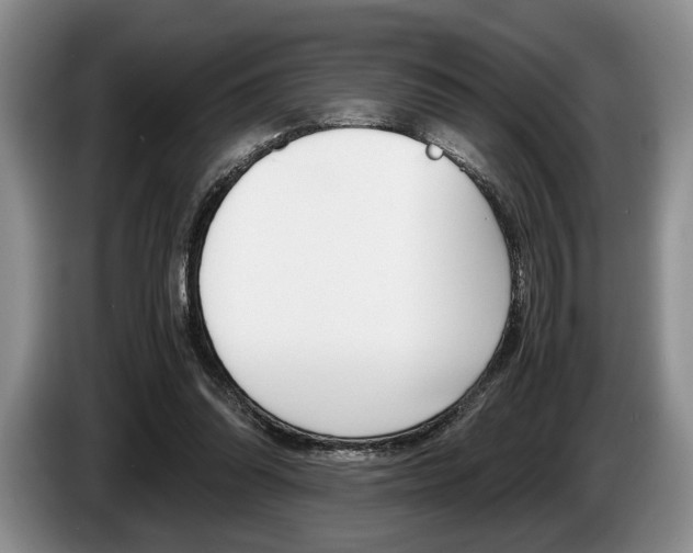 X0000087560302200704270930