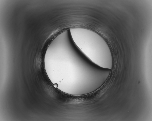 X0000087560304200704270930
