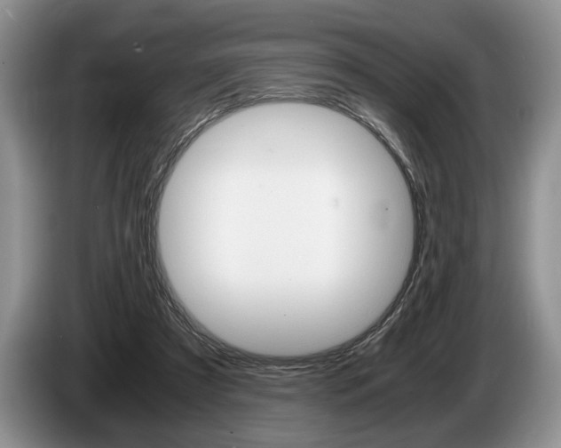 X0000087560305200704270930