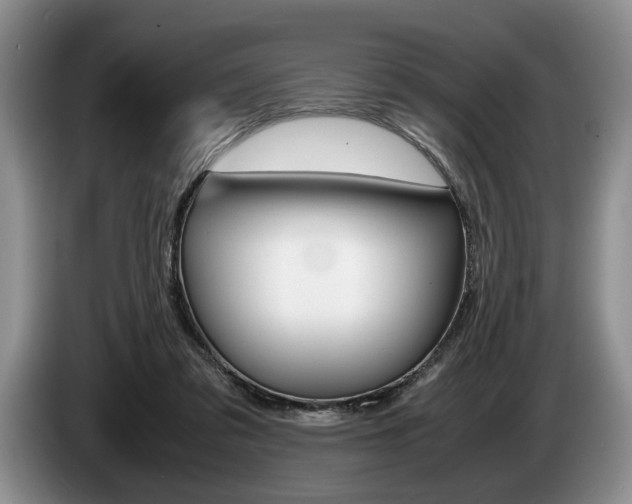 X0000087560309200704270930