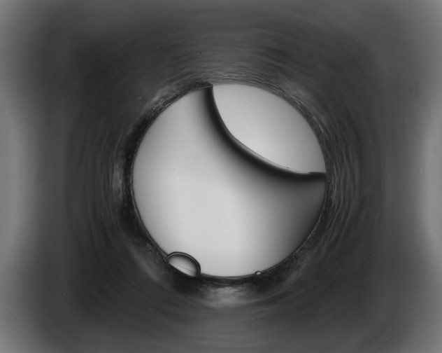 X0000087560312200704270930