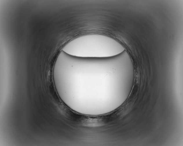 X0000087560314200704270930