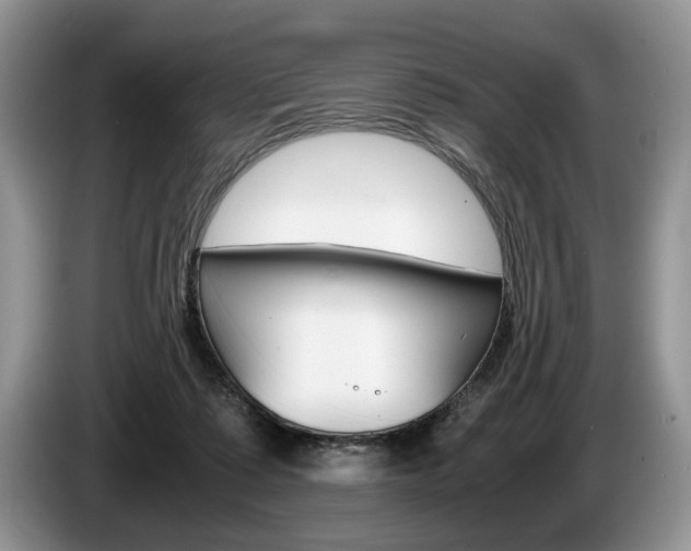 X0000087560315200704270930