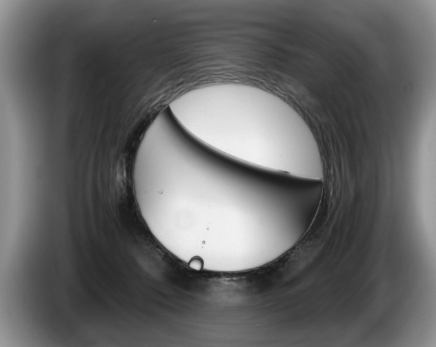 X0000087560320200704270930