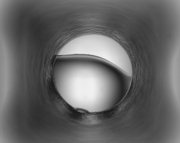 X0000087560325200704270930