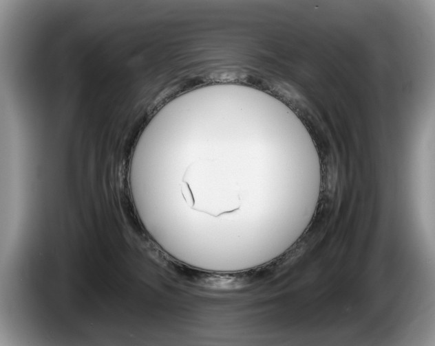 X0000087560326200704270930
