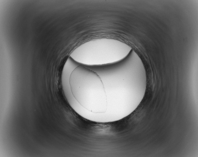X0000087560328200704270930