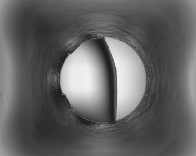 X0000087560329200704270930