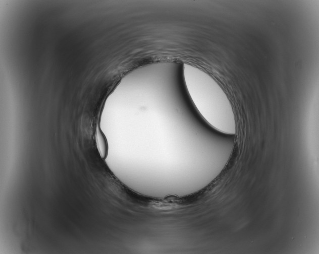 X0000087560331200704270930