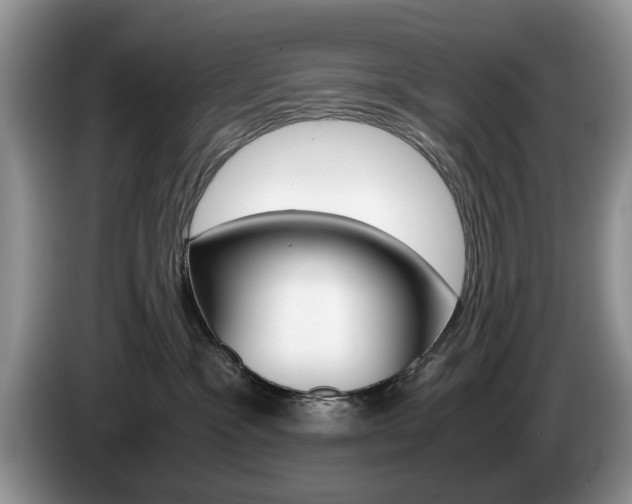 X0000087560333200704270930