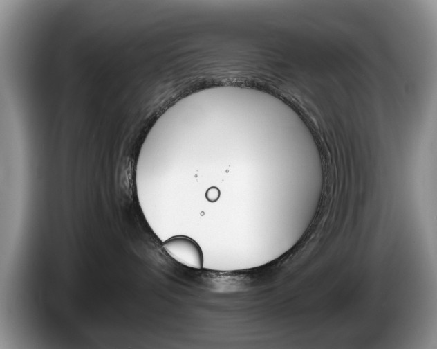 X0000087560336200704270930