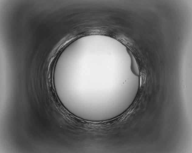 X0000087560339200704270930