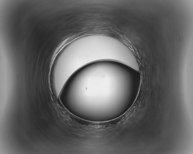 X0000087560340200704270930