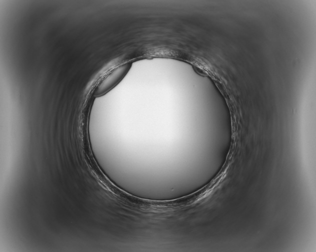 X0000087560341200704270930