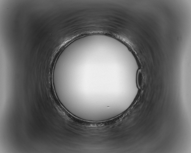X0000087560345200704270930