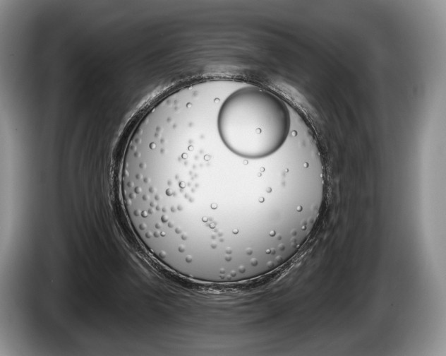 X0000087560346200704270930