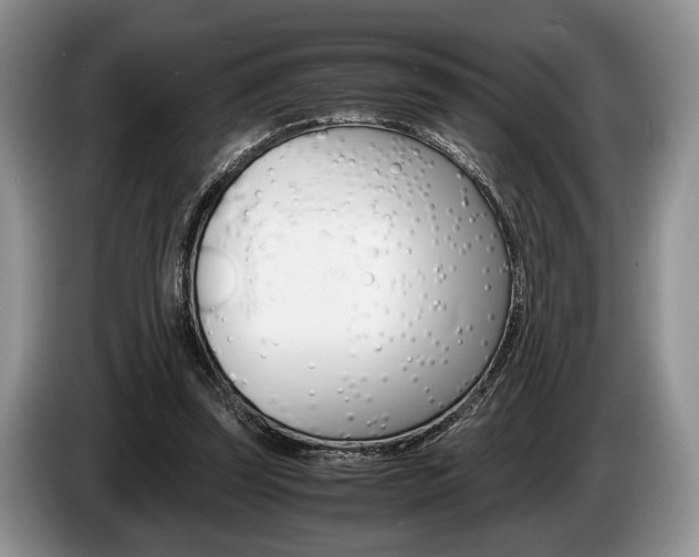 X0000087560347200704270930