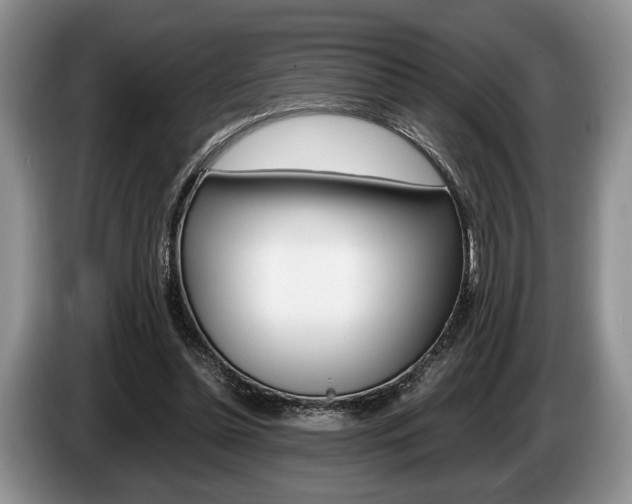 X0000087560348200704270930