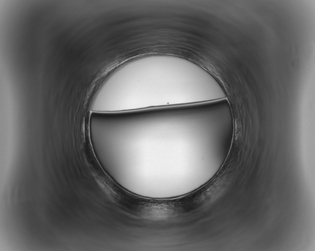 X0000087560349200704270930