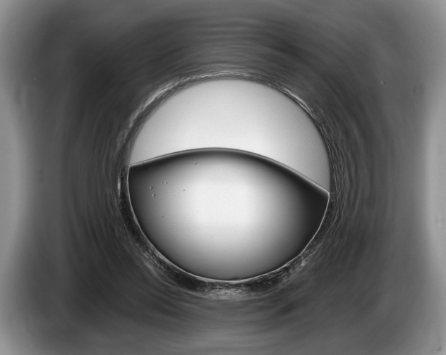 X0000087560350200704270930