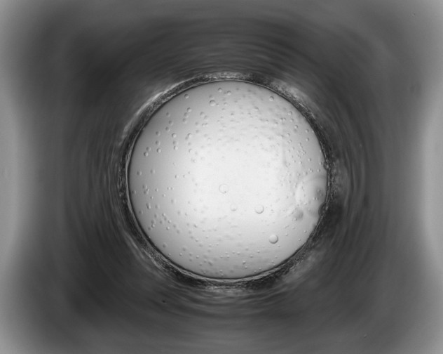 X0000087560351200704270930