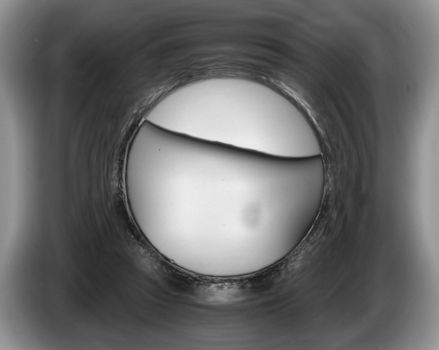 X0000087560353200704270930