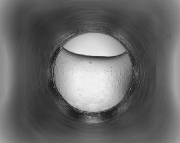 X0000087560359200704270930