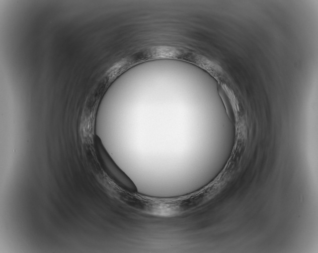 X0000087560360200704270930