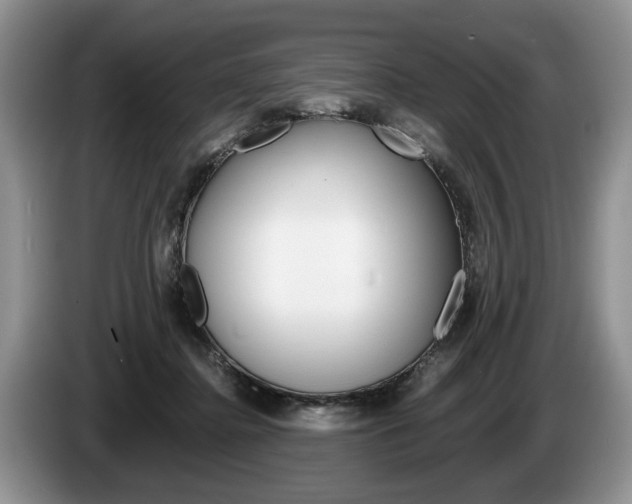 X0000087560364200704270930