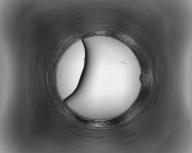 X0000087560365200704270930