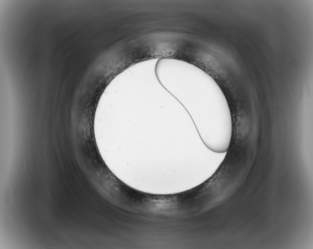 X0000087560370200704270930