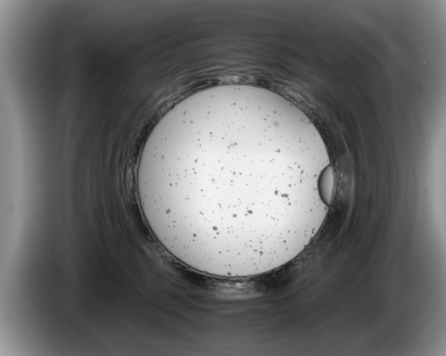 X0000087560375200704270930