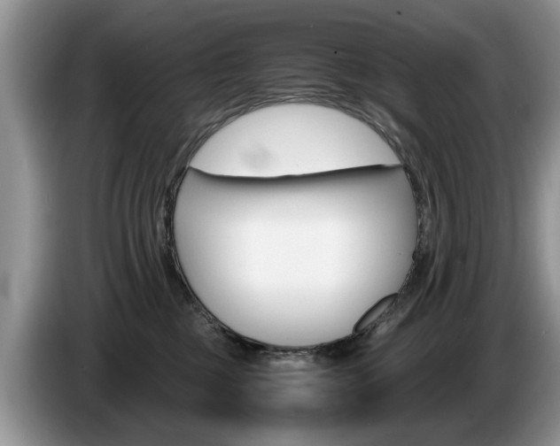 X0000087560377200704270930