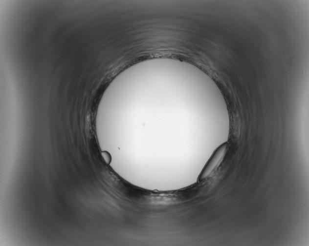 X0000087560378200704270930