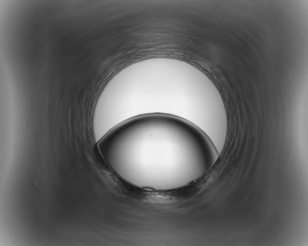 X0000087560380200704270930
