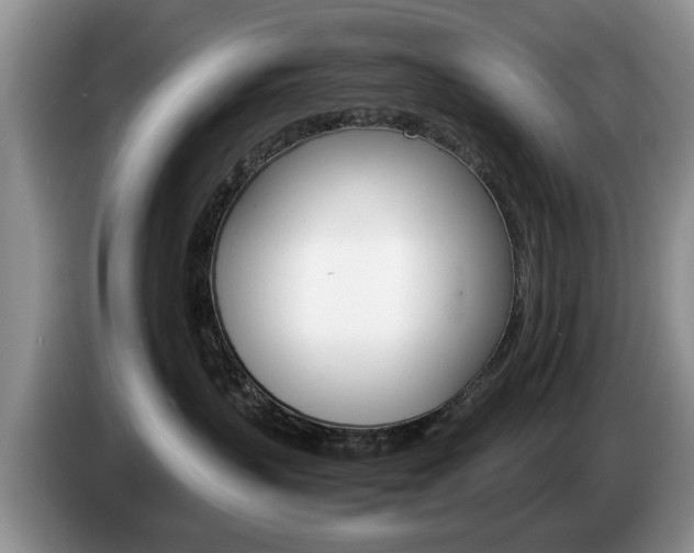 X0000087560383200704270930