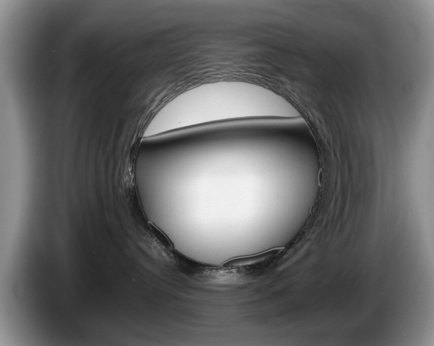 X0000087560384200704270930