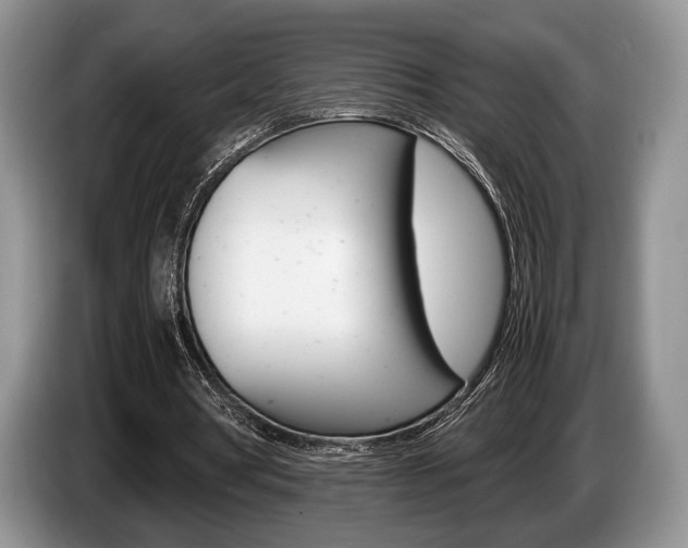 X0000087560386200704270930