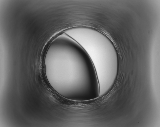 X0000087560387200704270929