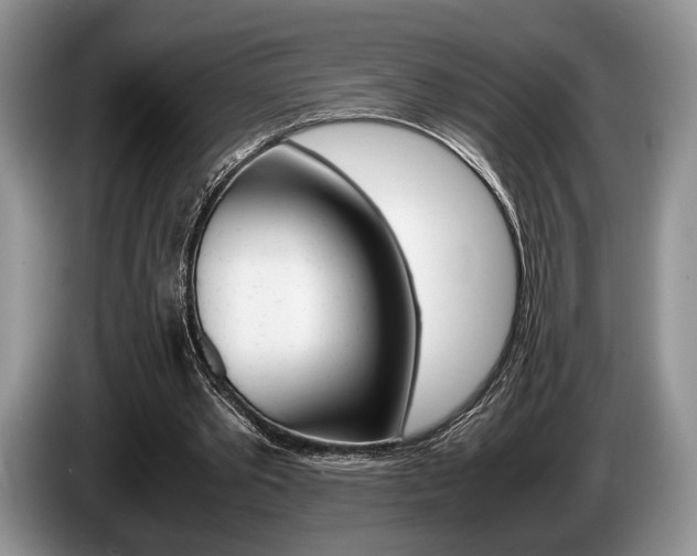 X0000087560389200704270929