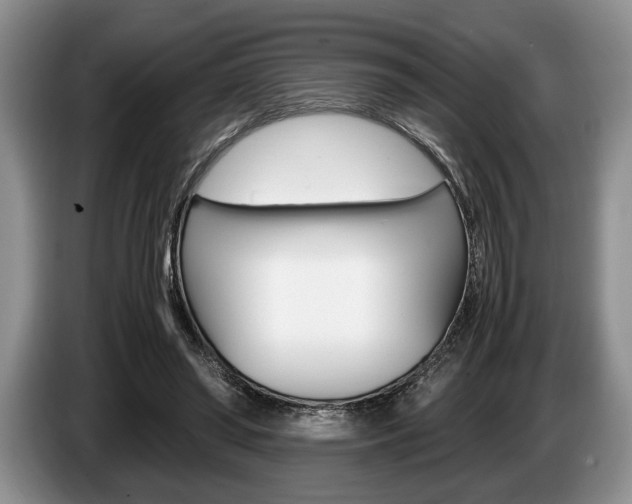 X0000087560398200704270929