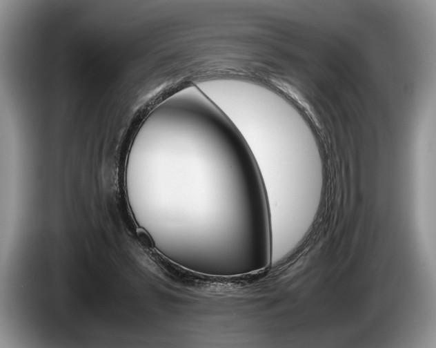 X0000087560399200704270929